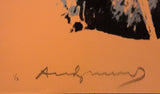 Endangered Species: Black Rhinoceros FS II.301 by Andy Warhol, 1983 screen print on Lenox museum board — detail 2