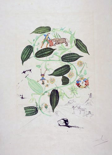 Passiflora Laurigera by Salvador Dali