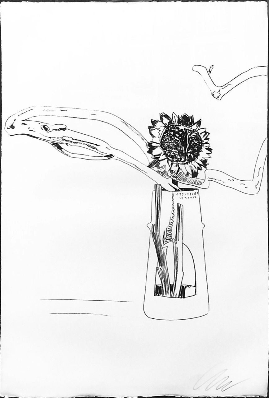 Flowers FS II.102 (Black and White) by Andy Warhol, 1974 screen print on Arches paper and j. green paper