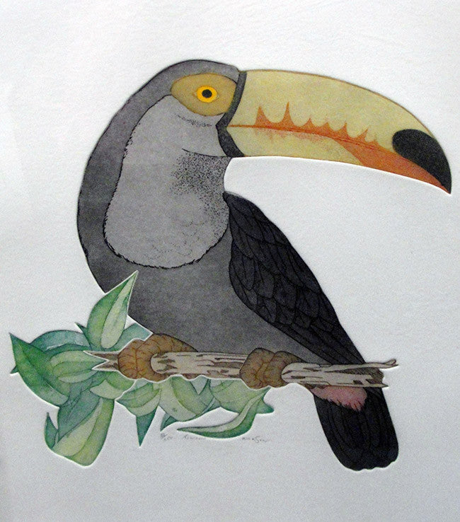 Toucan by Rickson by Artists Misc., color etching