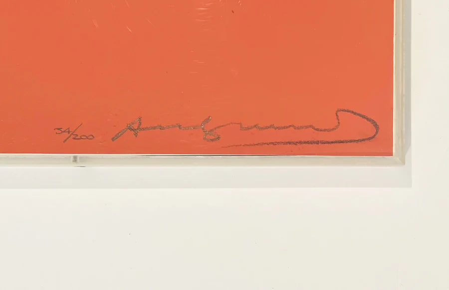 Gertrude Stein FS II.227 by Andy Warhol, 1980 screenprint on Lenox museum board — detail 2