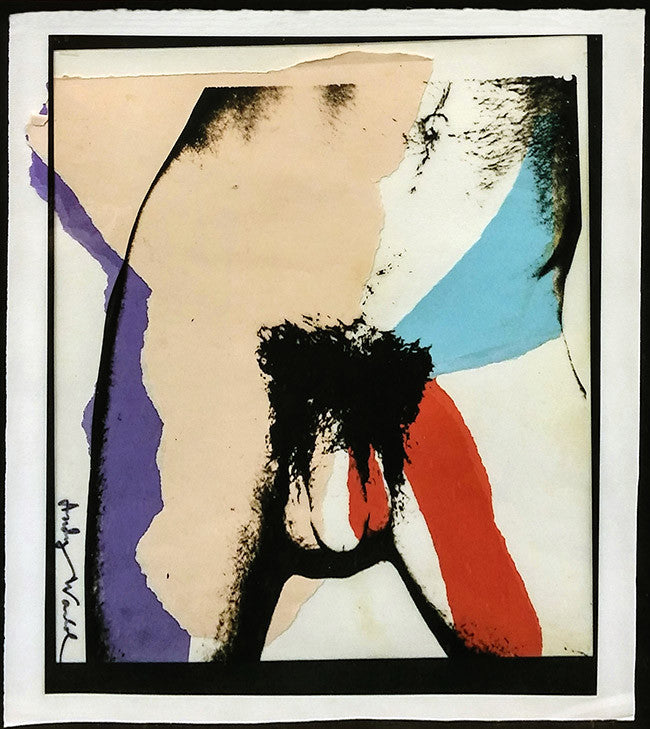 Untitled (Torso) by Andy Warhol, photo transfer on acetate and colored paper mounted on paper