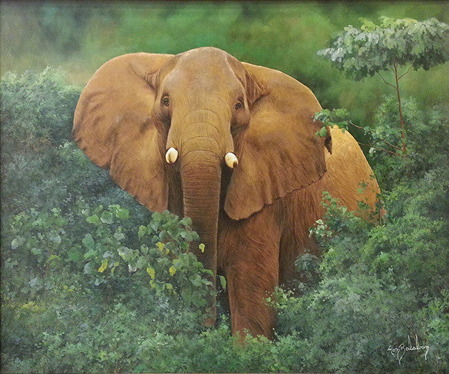 Elephant by Ron Balaban, oil on canvas