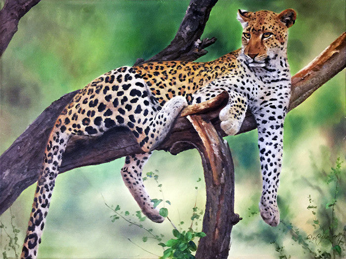 Leopard by Ron Balaban, oil on canvas
