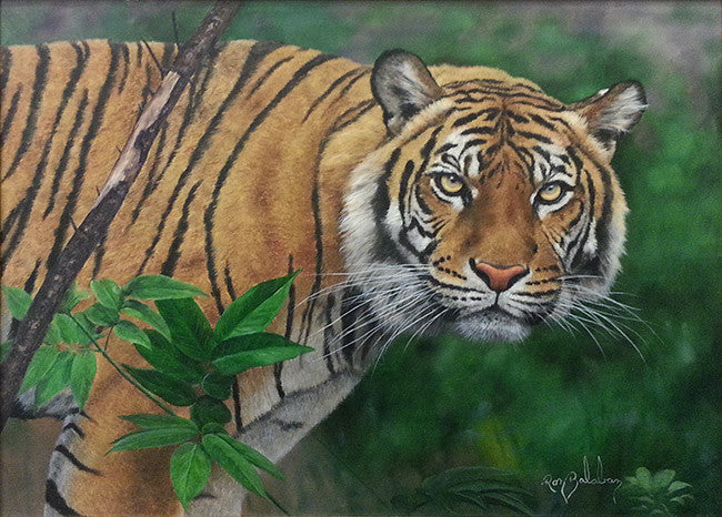 Tiger II by Ron Balaban, oil on canvas