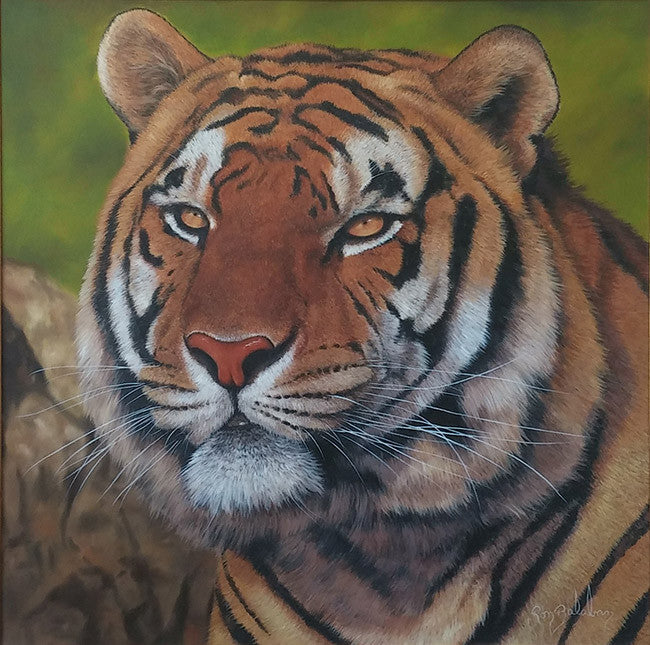 Tiger I by Ron Balaban, oil on canvas