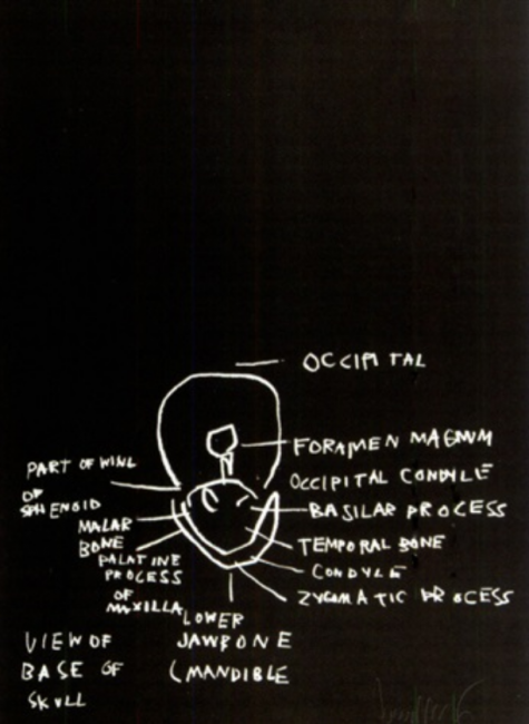 VIEW OF BASE OF SKULL (ANATOMY) BY JEAN-MICHEL BASQUIAT