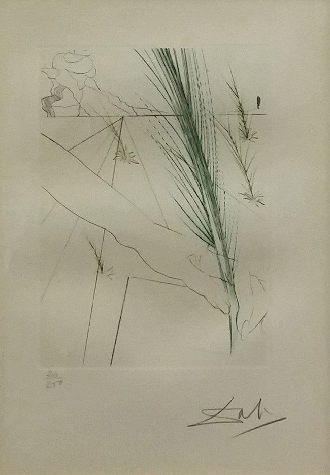 Flowers and Found Objects by Salvador Dali, 2 color dry paint, engraving