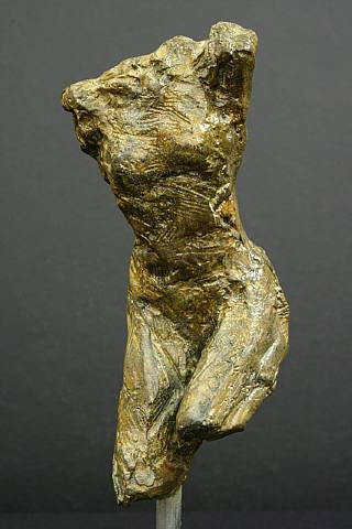 Torso II by Roy Fairchild-woodard, 1999 bronze