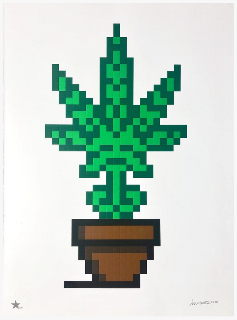 HOLLYWEED (BROWN POT) BY INVADER