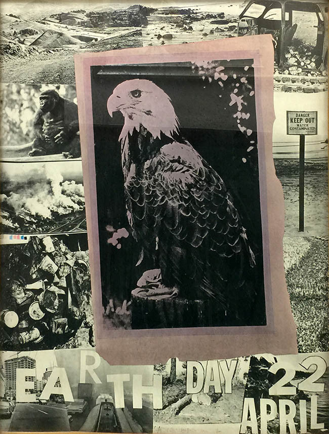 Earth Day by Robert Rauschenberg, 1970 lithograph