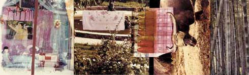 Studies for Chinese Summerhall V by Robert Rauschenberg, 1984 color photograph on kodak ektacolor 78f pape