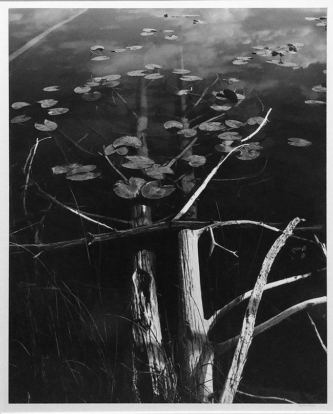 Landscape V by Michael Rubin, silver gelatin