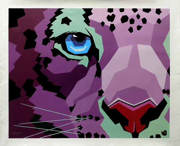 IN FOCUS BY SCHIM CHEMMEL