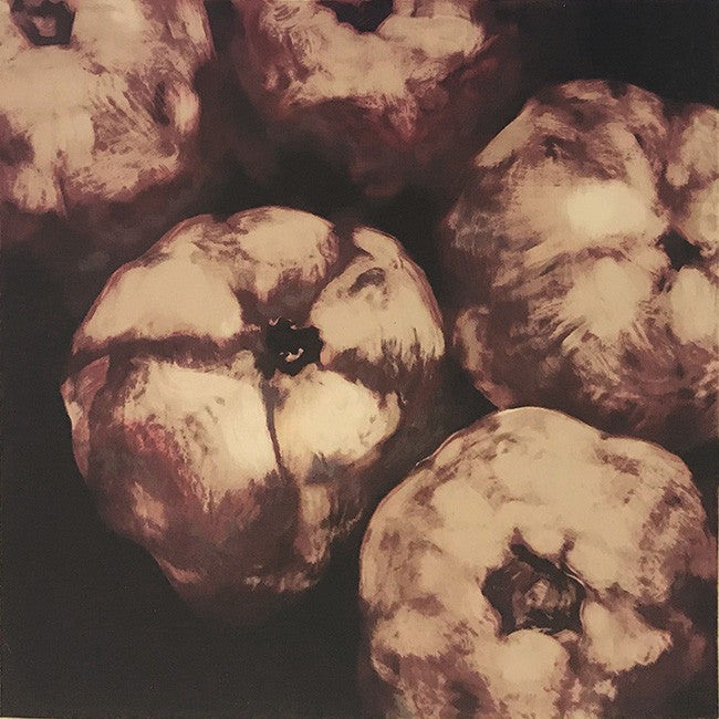 Pomegranetes by Donald Sultan by Artists Misc., 1994 serigraph