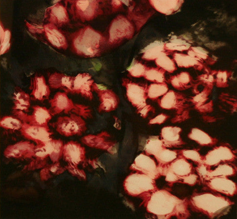 Red Roses by Donald Sultan, 1992 lithograph