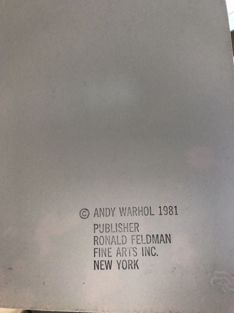 Myths: the Star FS II.258 by Andy Warhol, 1981 screen print with diamond dust on Lenox museum board — detail 3