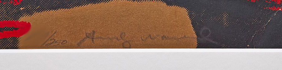 Vesuvius (Red) II.365 by Andy Warhol, 1985 screenprint on Arches 88 paper — detail 2